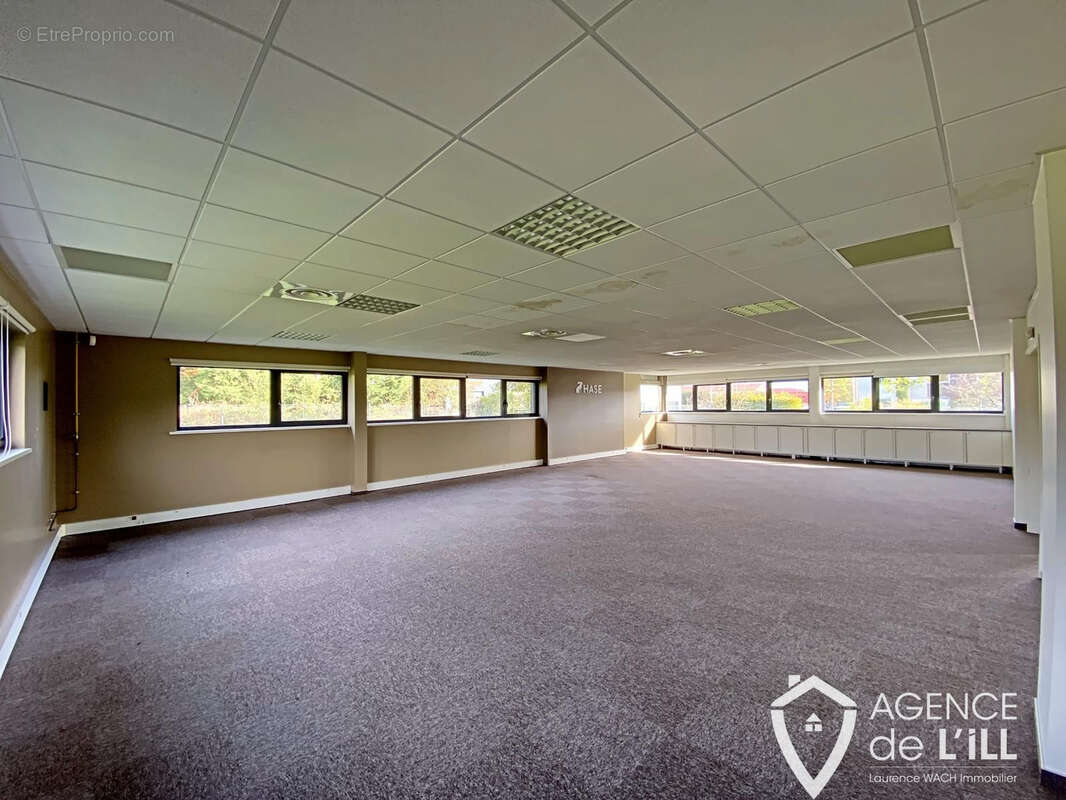 Commerce à BERGHEIM