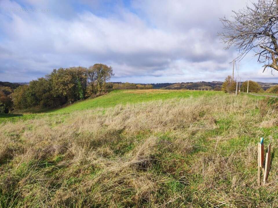 Terrain 400 m² à Denat  - photo 2