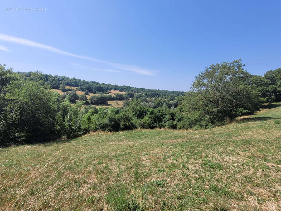 Terrain à POLIGNAC