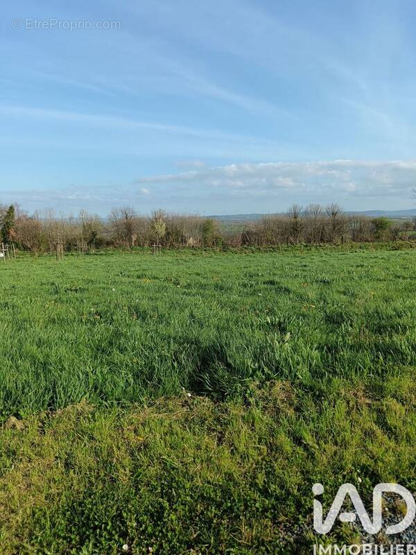 Photo 1 - Terrain à SAINT-GERMAIN-D'ELLE