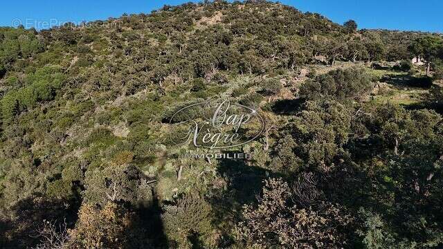 Terrain à BORMES-LES-MIMOSAS