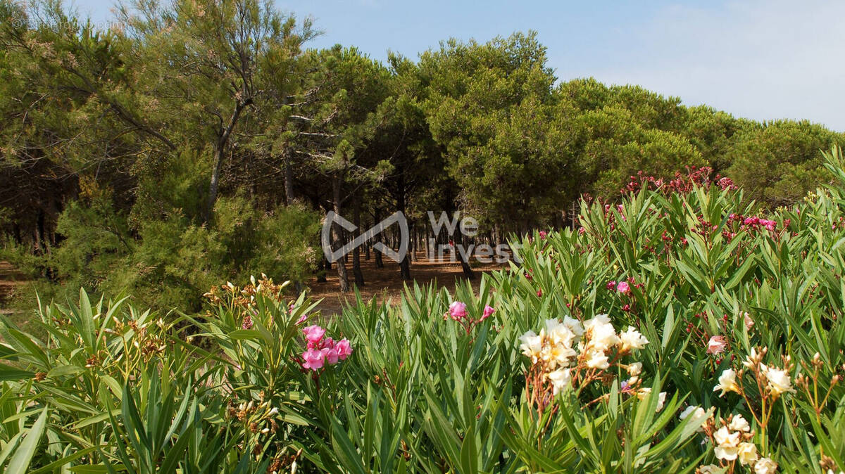 Appartement à SAINT-CLEMENT-DE-RIVIERE