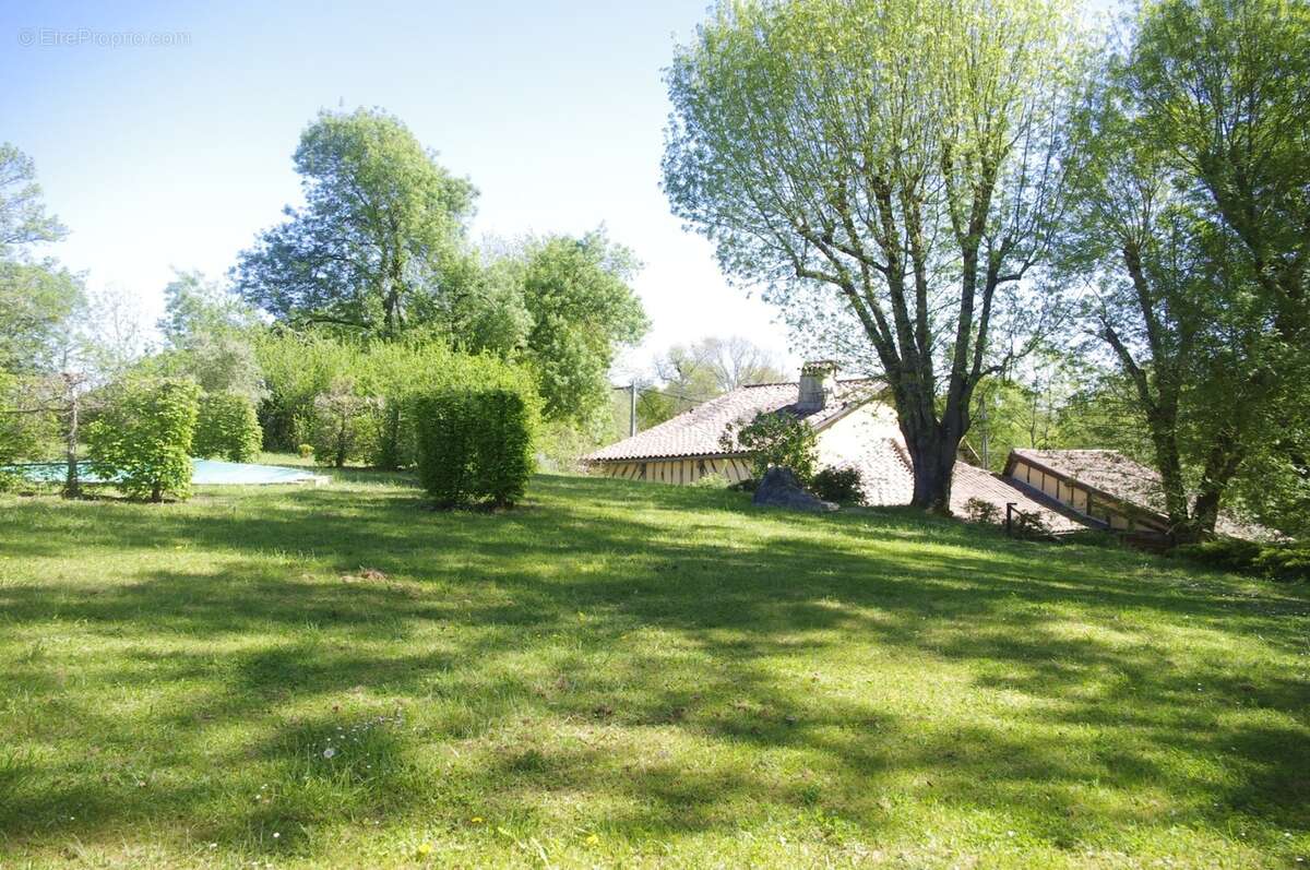 à VENDRE  proche Aignan  propriété de charme  sur 3646 m² de terrain avec piscine et Gîte séparé - photo 5