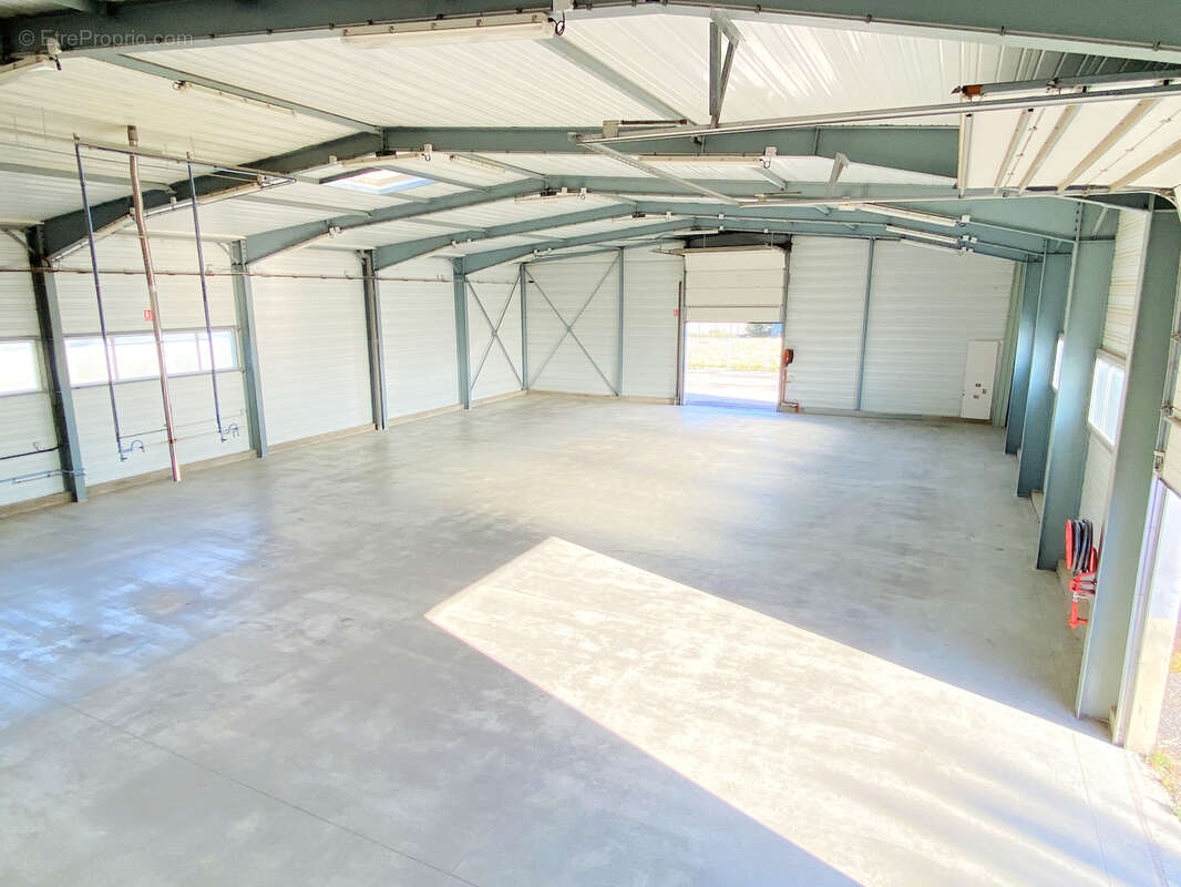 Commerce à RIVESALTES