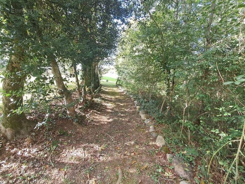 Maison à SAINT-PAUL