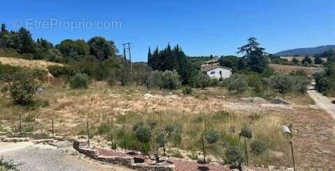 Beau Terrain hauteur  de Limoux - photo 6