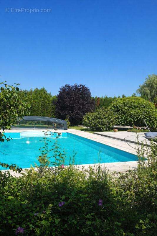 Proche Suisse/ Allemagne Villa d'architecte avec piscine sur grand terrain arboré - photo 11