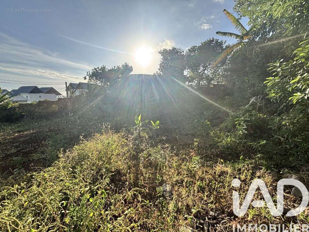 Photo 8 - Terrain à SAINT-JOSEPH