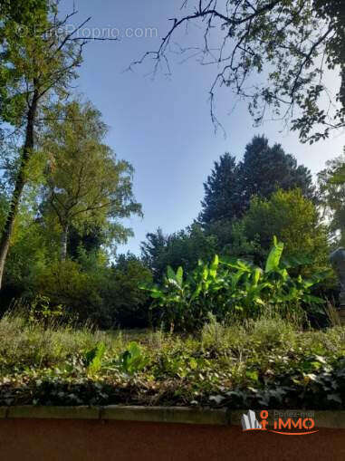 Maison à LAMURE-SUR-AZERGUES