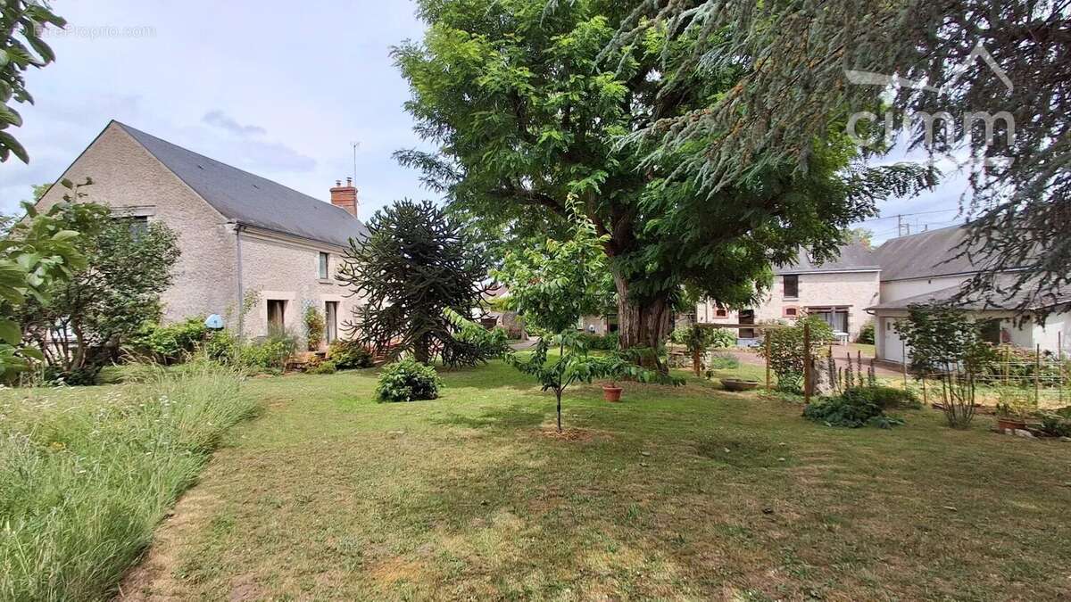A VENDRE, Vineuil, propriété de charme avec chambres d'hôtes, gites et piscine - photo 21