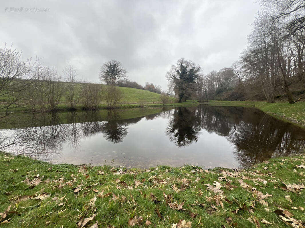 Etang de 4000 m2 sur une parcelle de 5 733 m2 ! - photo 2