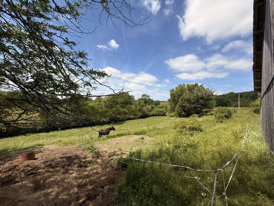 Maison à VERGT-DE-BIRON