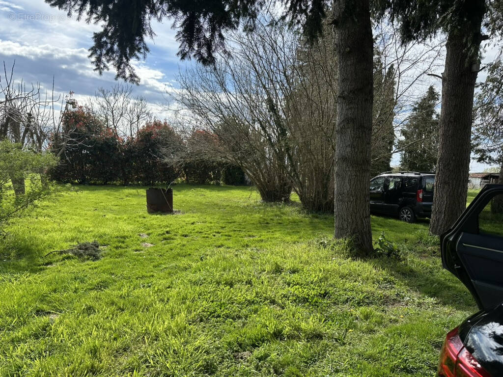 Terrain à COURS-LES-BARRES