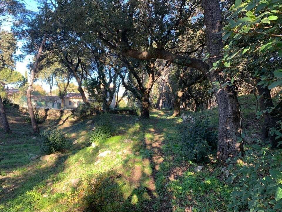 Terrain à MARTIGUES