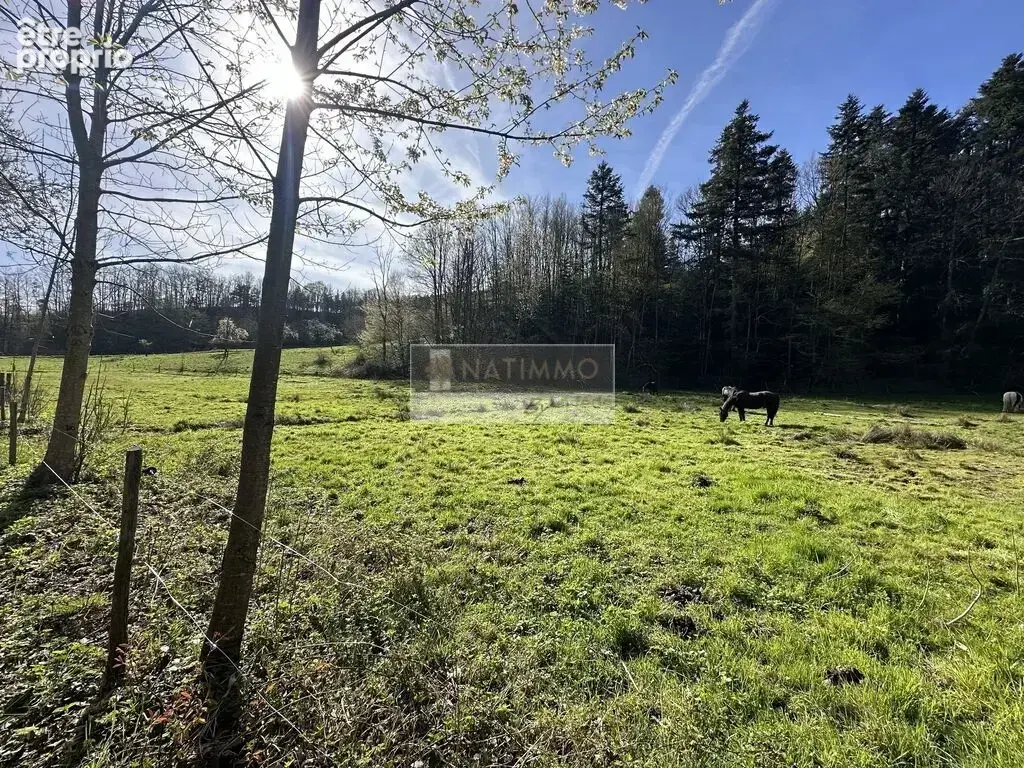 Ensemble immobilier à fort potentiel - photo 4