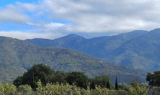 Terrain à VILLELONGUE-DELS-MONTS