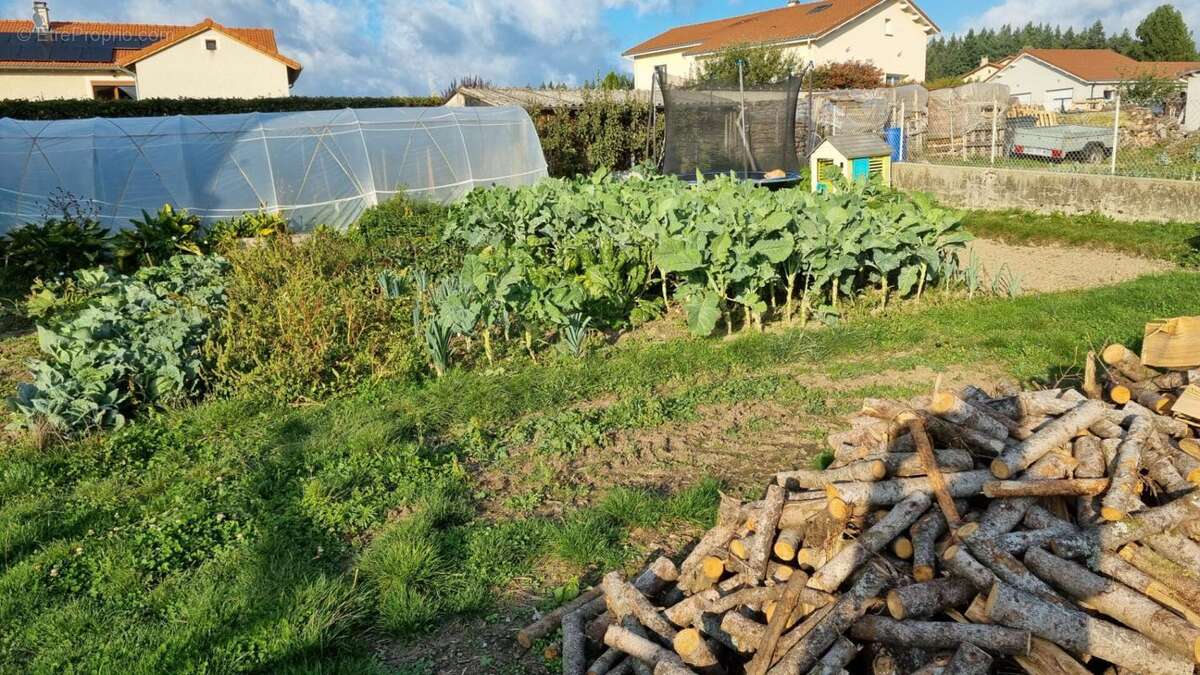 Maison à MONTFAUCON-EN-VELAY