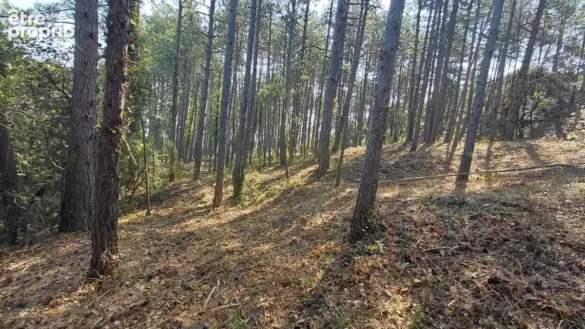 Terrain à BOURG-SAINT-ANDEOL