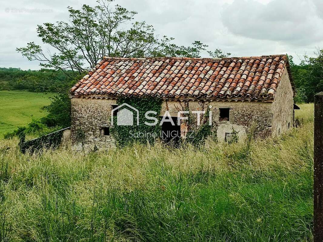Photo 6 - Maison à SAINT-JULIEN-DU-PUY