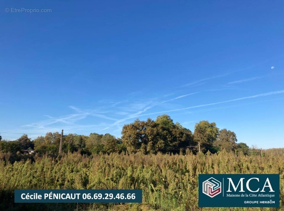 Terrain à SAUGNAC-ET-CAMBRAN