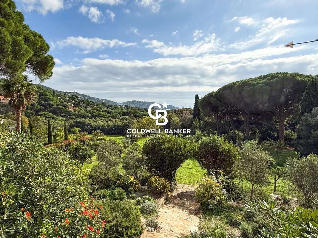 Maison à LE LAVANDOU