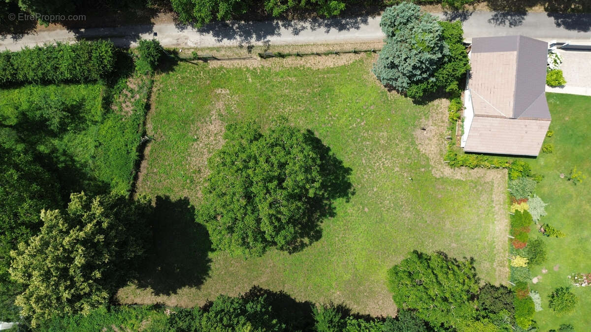 Terrain à DAMPIERRE-EN-YVELINES