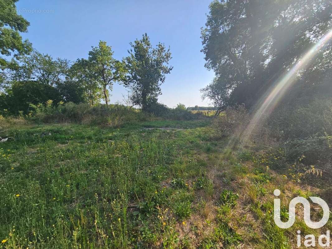 Photo 7 - Terrain à LE GUA