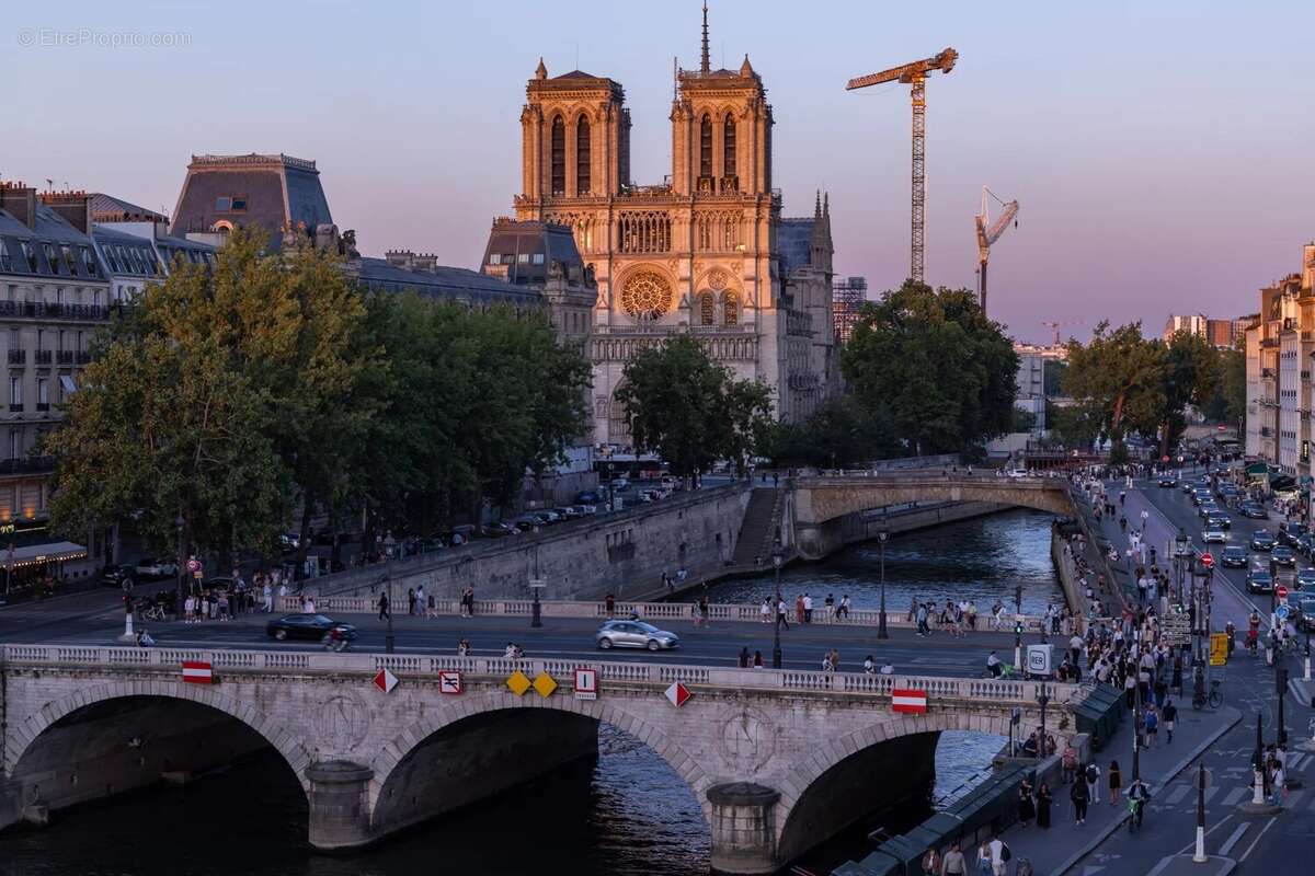 Appartement vue Seine et Notre-Dame - photo 19