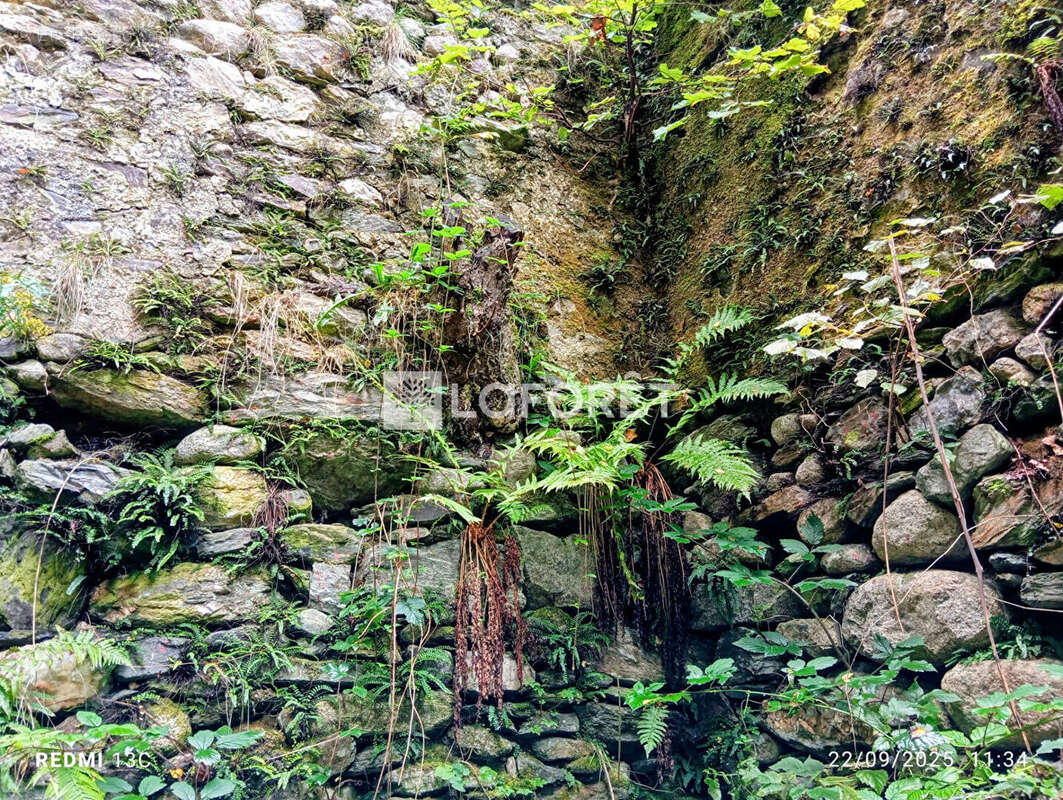 Terrain à PRATS-DE-MOLLO-LA-PRESTE