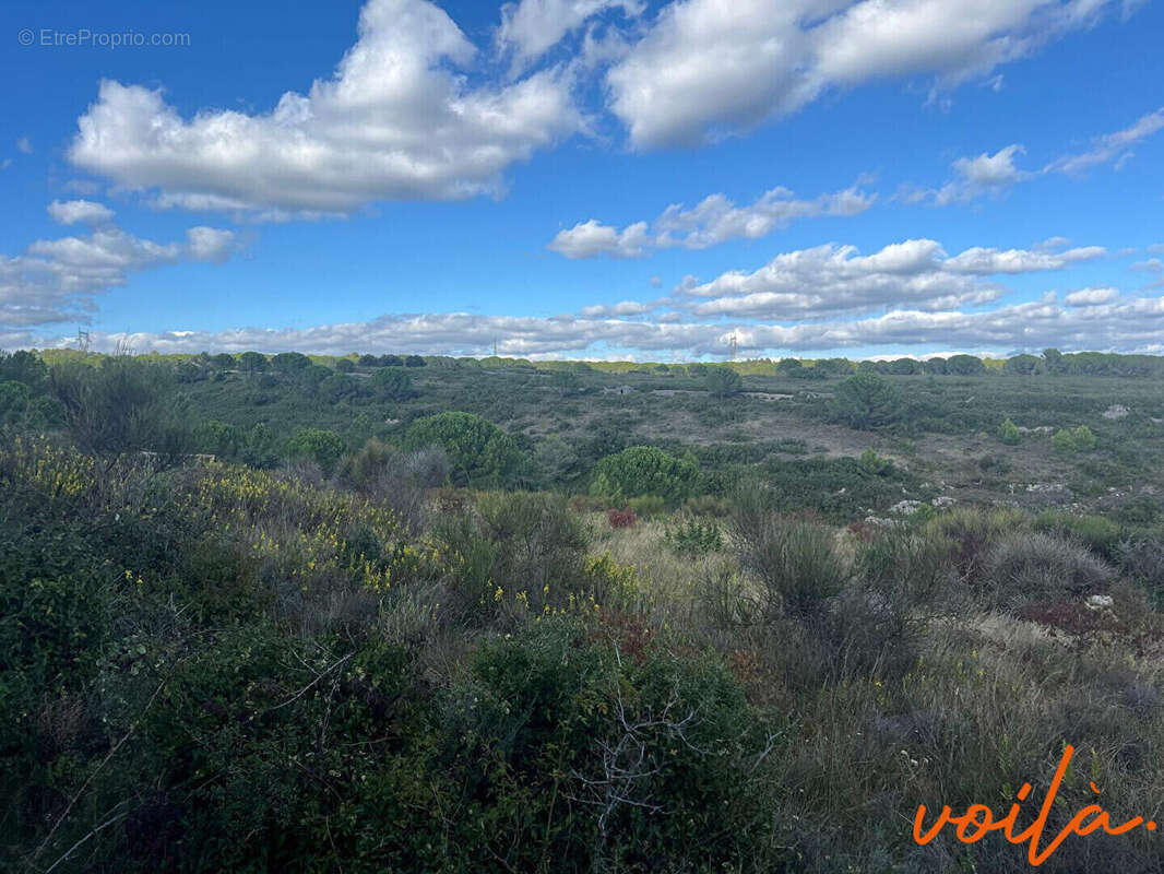 Terrain à CARCASSONNE