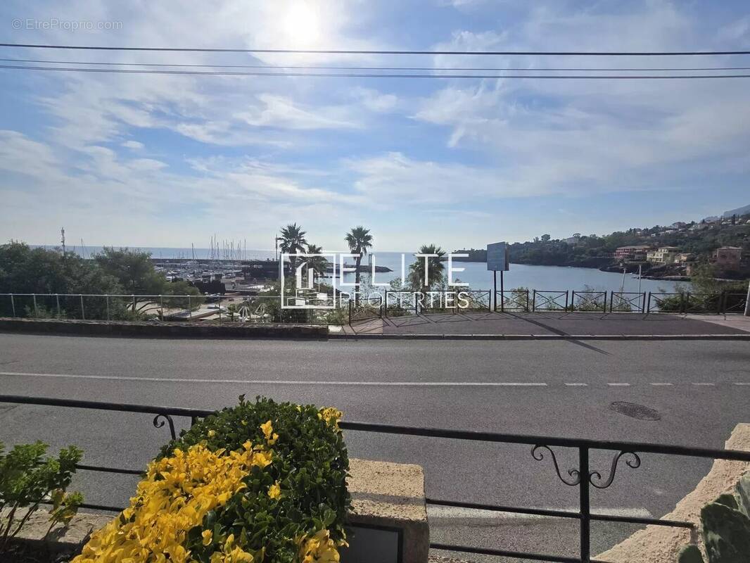 Terrain à THEOULE-SUR-MER