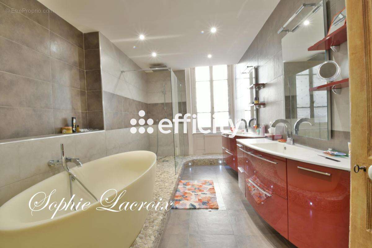 Appartement bourgeois - photo 7