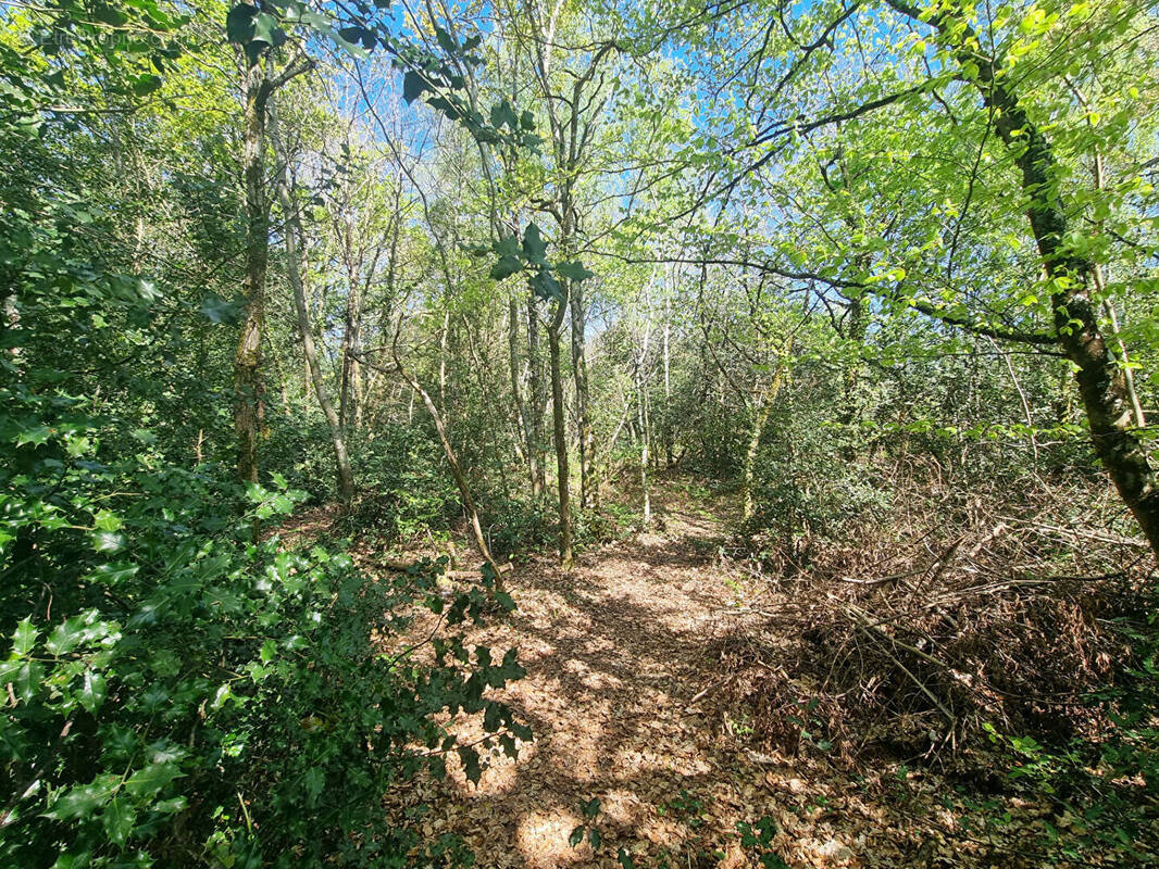 Terrain à ORVAULT