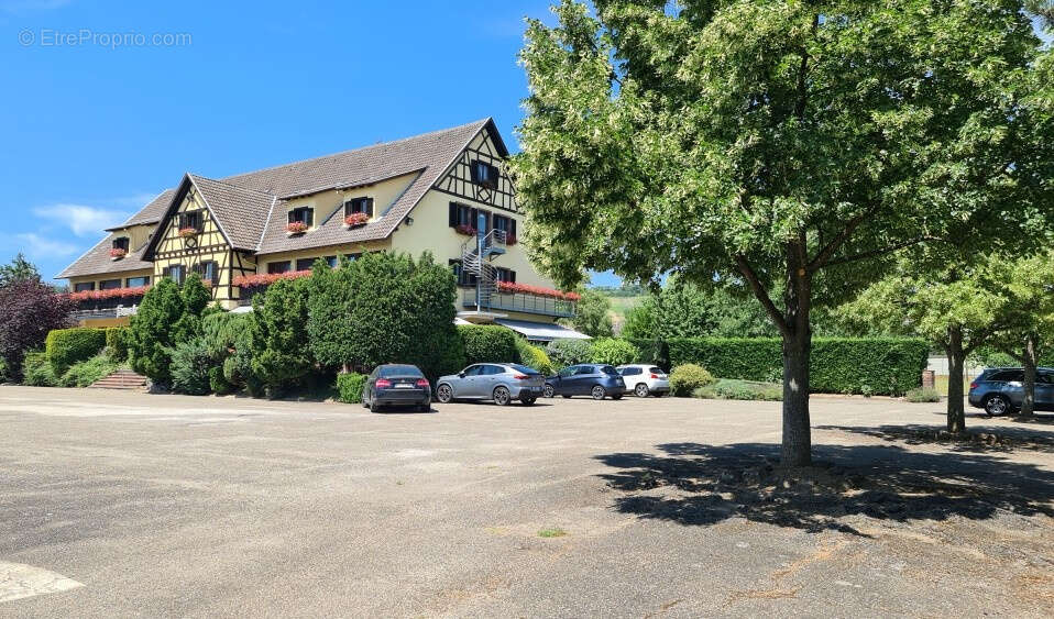 Commerce à MARLENHEIM