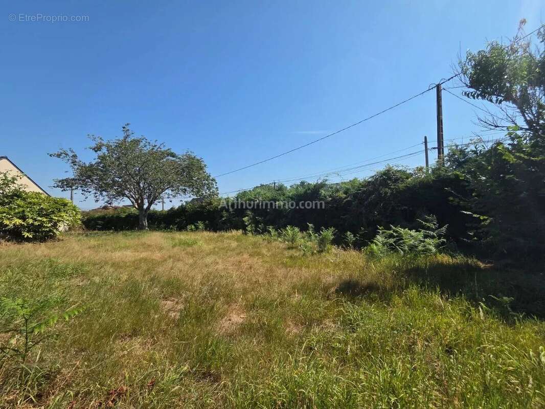 Vente Terrain Brech(56400) 105 990ï¿œ - photo 2