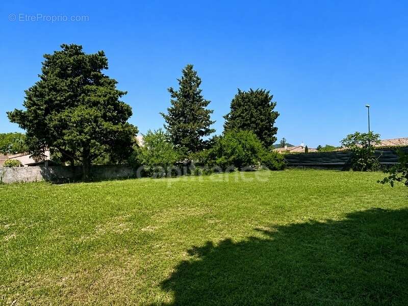 Terrain à MONTELIMAR