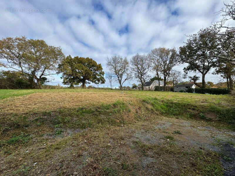 Maison à SAINT-NAZAIRE