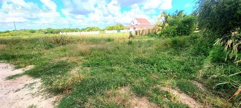 Terrain à SAINT-FRANCOIS