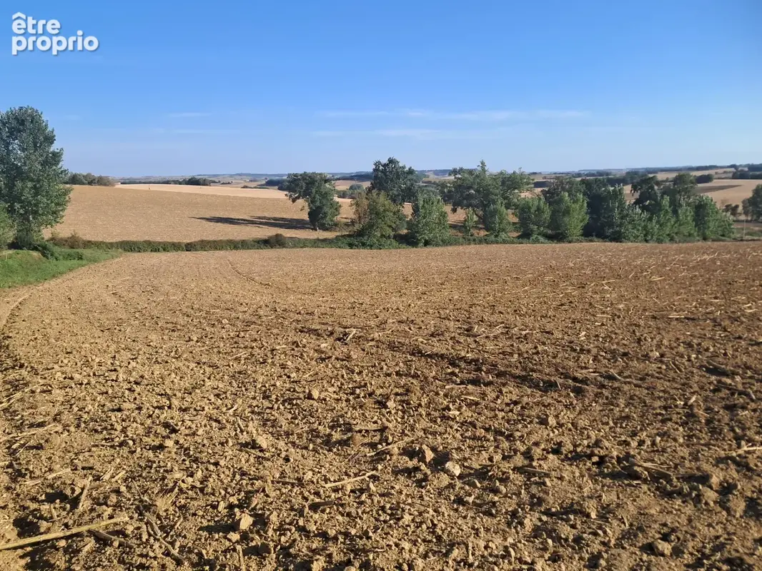 Terrain à vendre de 9403m2 PERGAIN TAILLAC (32) - photo 4