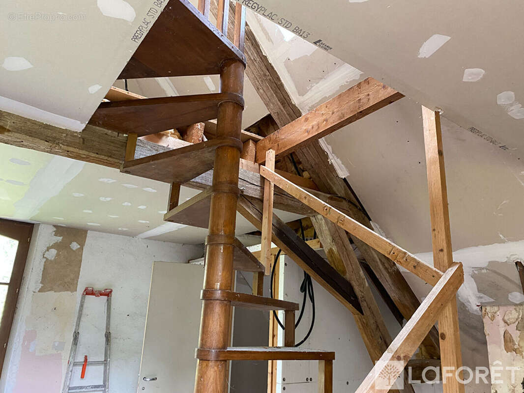 Propriété  sur 8 hect de bois - photo 14