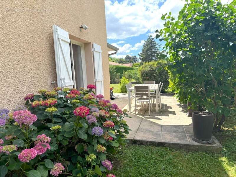Chasselay village prisé - Maison de 155 m² - Piscine chauffée - photo 11