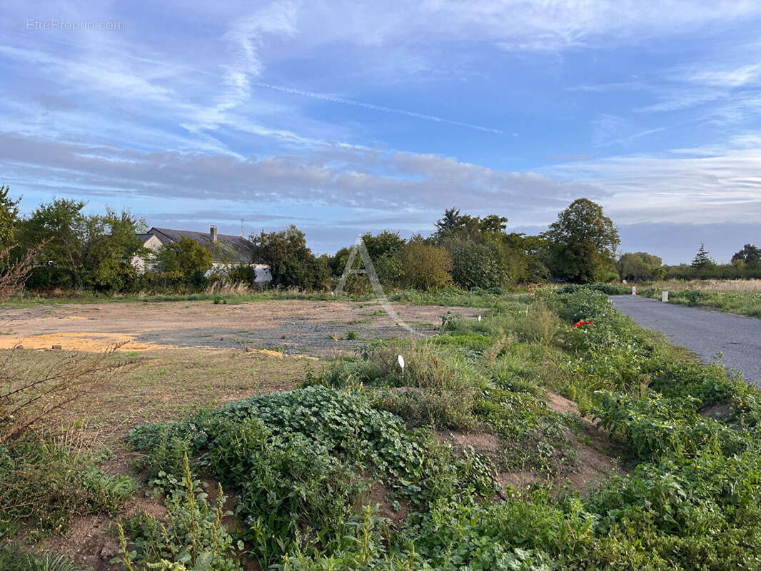 Terrain à LA MENITRE