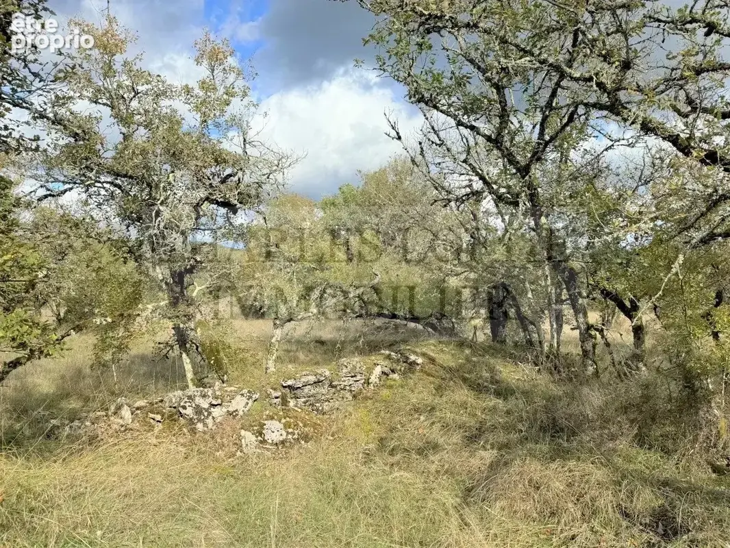 Terrain 5 021 m² à vendre à Catus (46150) - photo 4