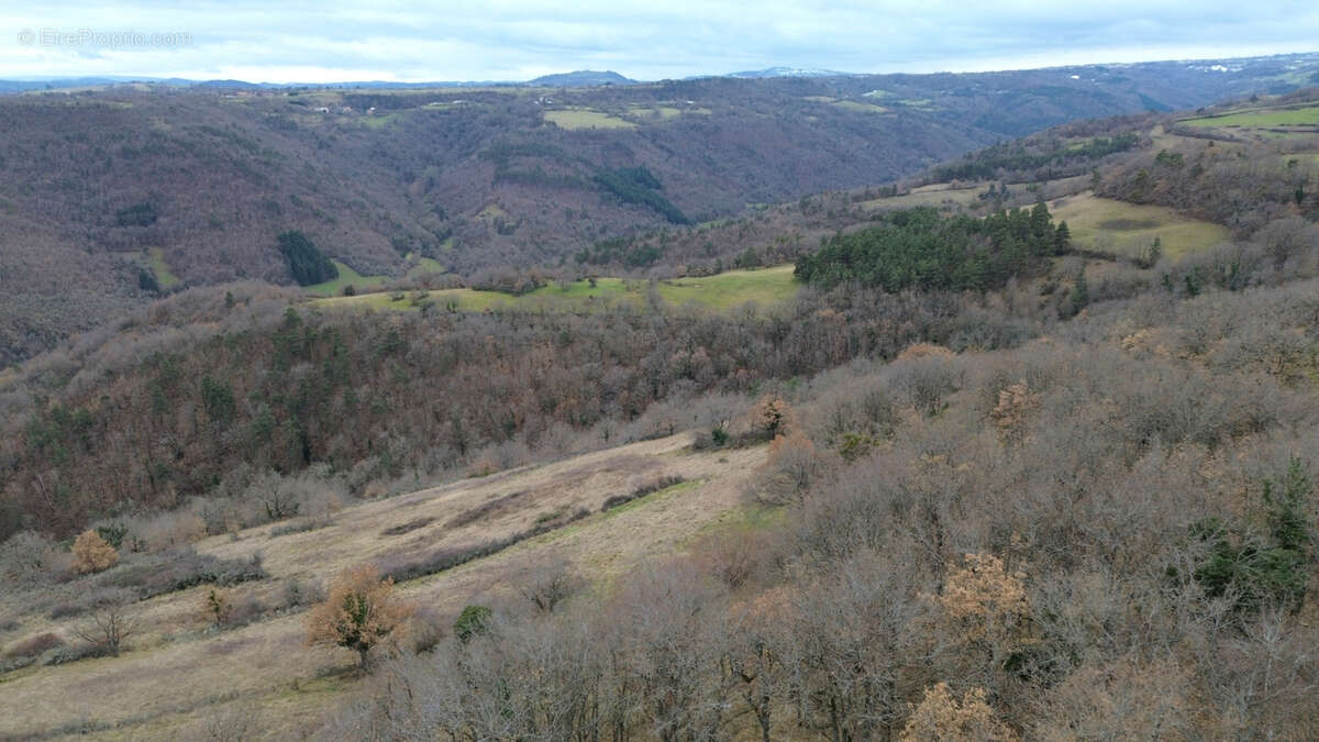 Terrain à AURIAC-L'EGLISE