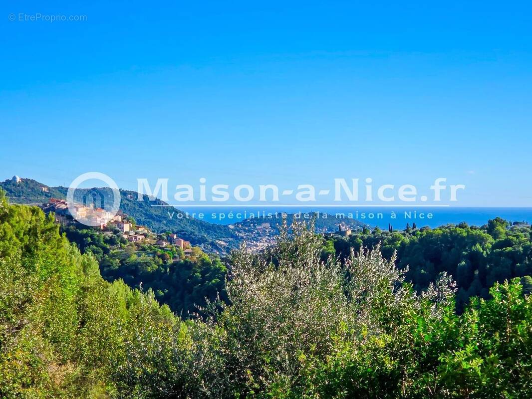 Maison à FALICON