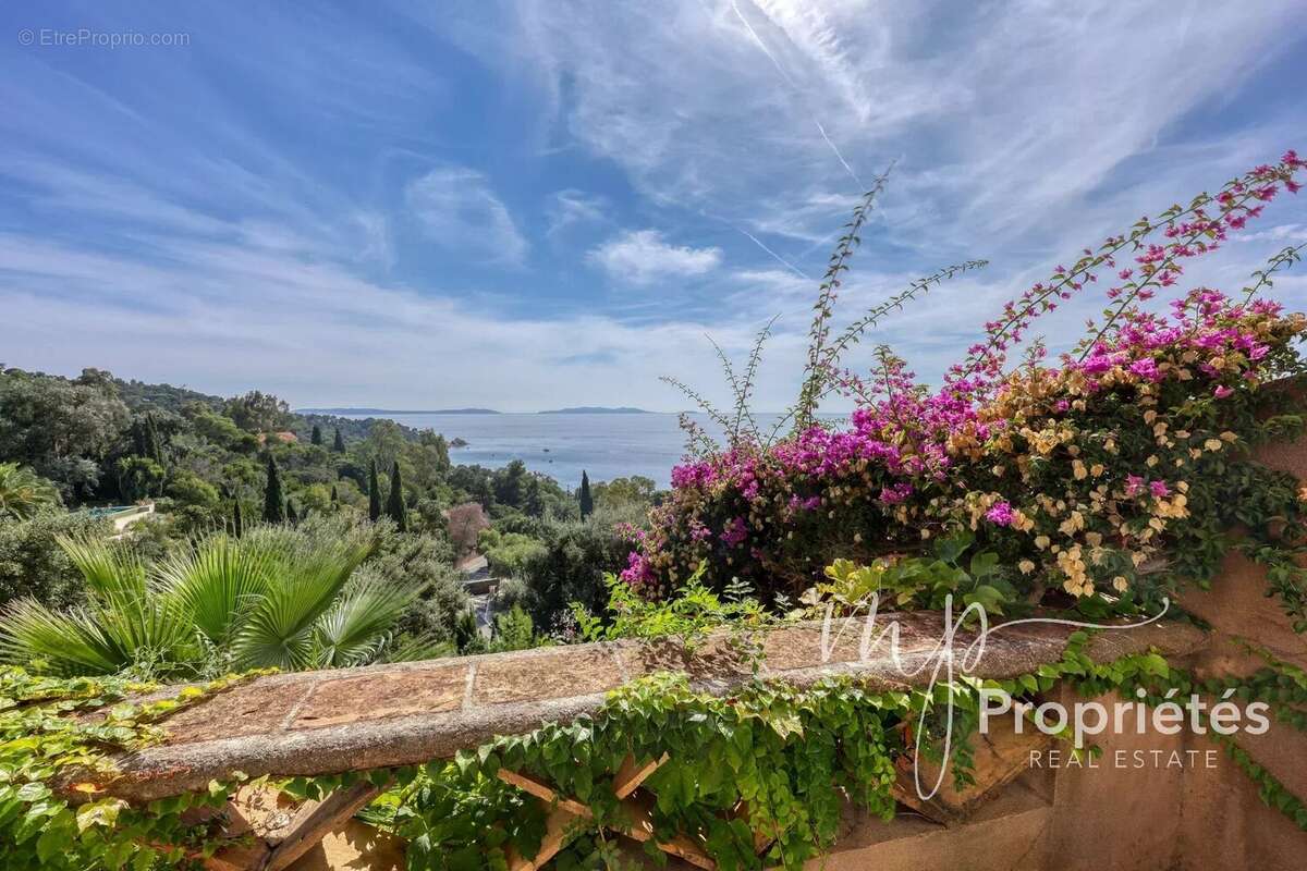 Maison à LE LAVANDOU