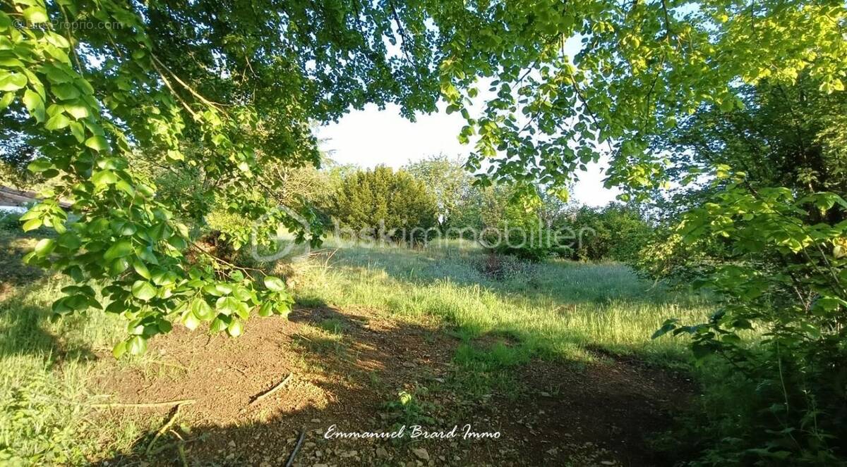 Terrain à MIGNE-AUXANCES