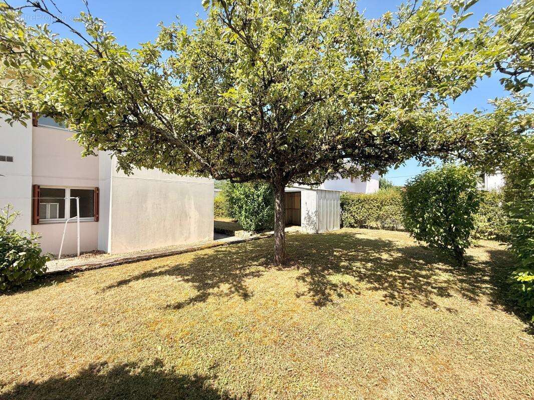 Maison À Vendre - photo 21