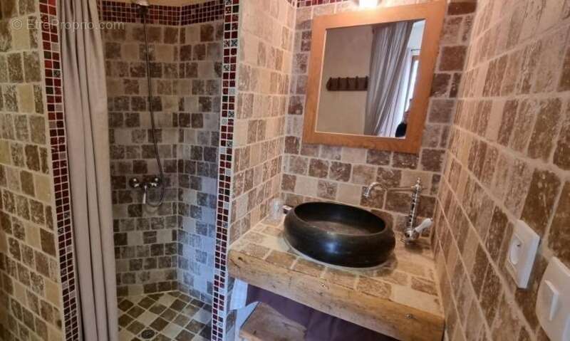 LA PALUD SUR VERDON Gite avec cuisine professionnelle, piscine - photo 17