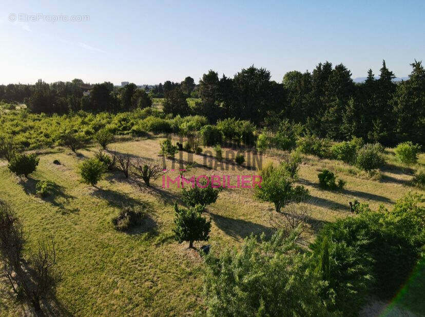 Terrain à L&#039;ISLE-SUR-LA-SORGUE